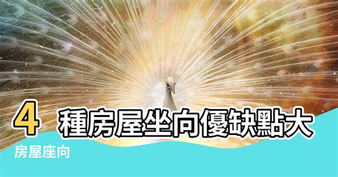 風水坐向|坐南朝北怎麼看？房屋座向、財位布置教學，讓你兼顧運勢與居住。